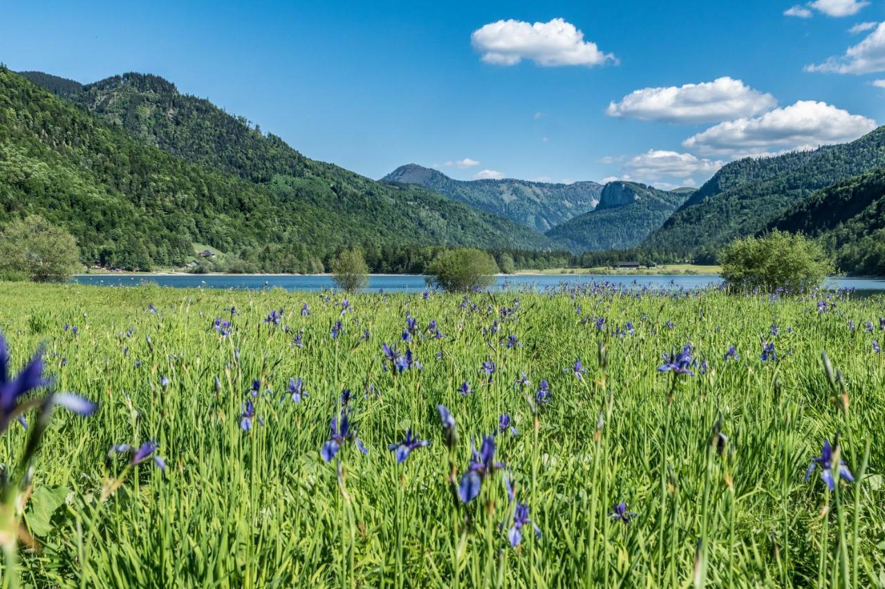 Hotel Fischerwirt Natur Waldspa Faistenau Kültér fotó