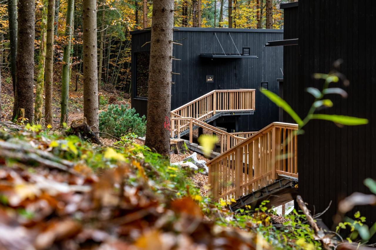 Hotel Fischerwirt Natur Waldspa Faistenau Kültér fotó
